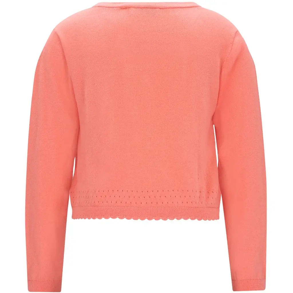 Gebreid vestje Derby (peach)