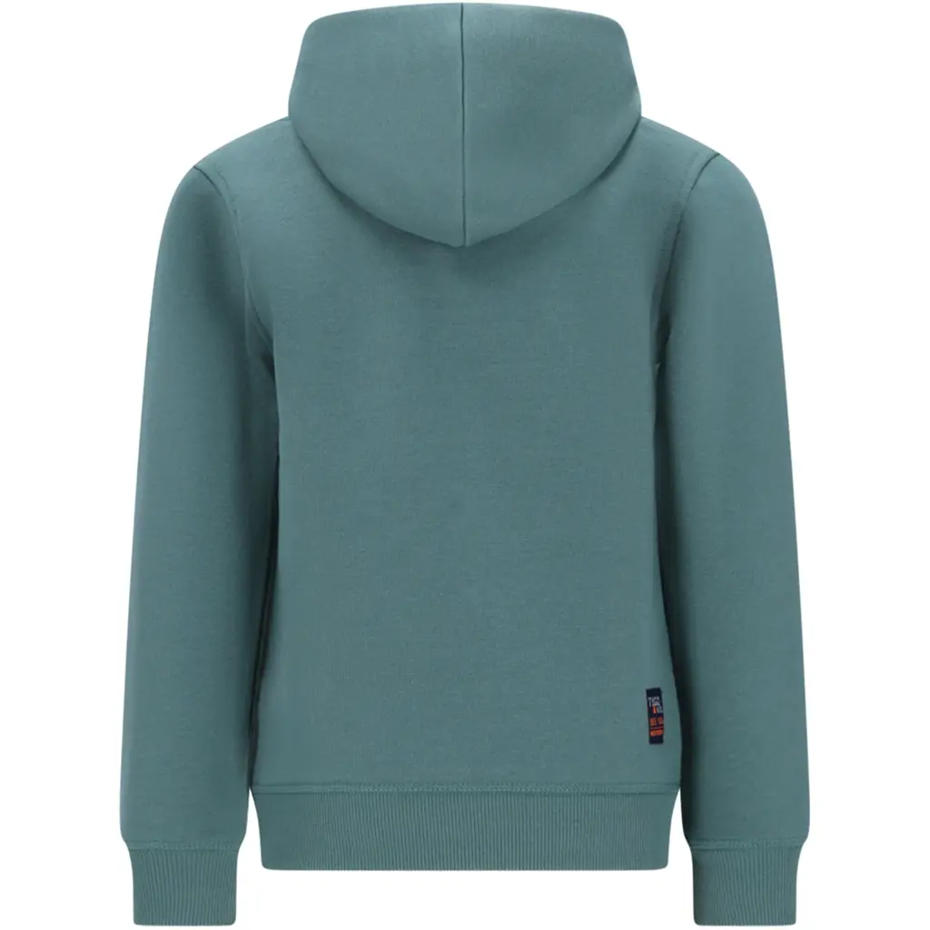 Trui hoodie Hesse (sagebush green)