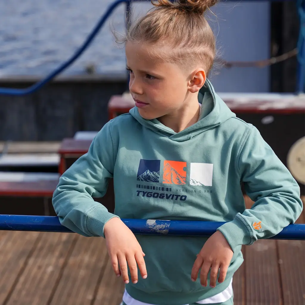 Trui hoodie Hesse (sagebush green)