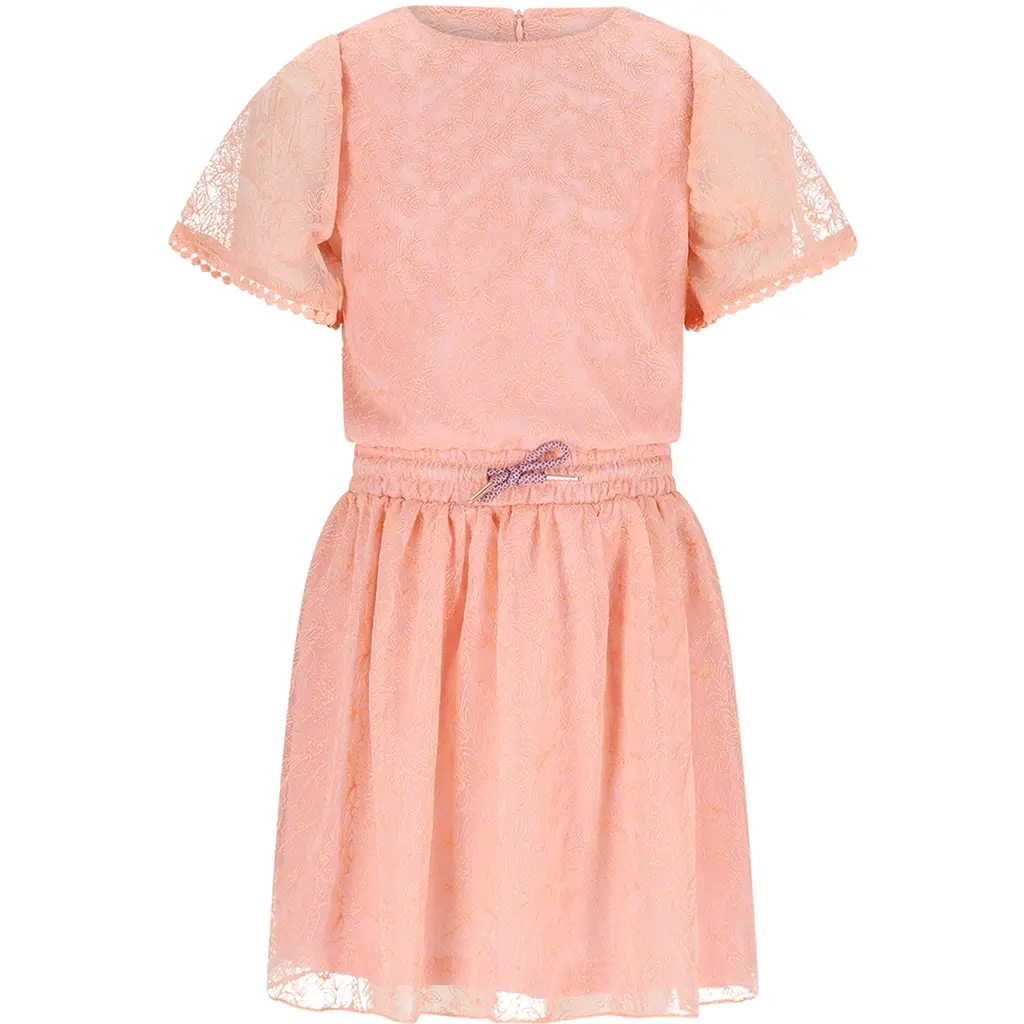 Jurk Mireal mesh (vintage pink)
