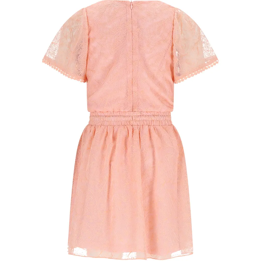 Jurk Mireal mesh (vintage pink)