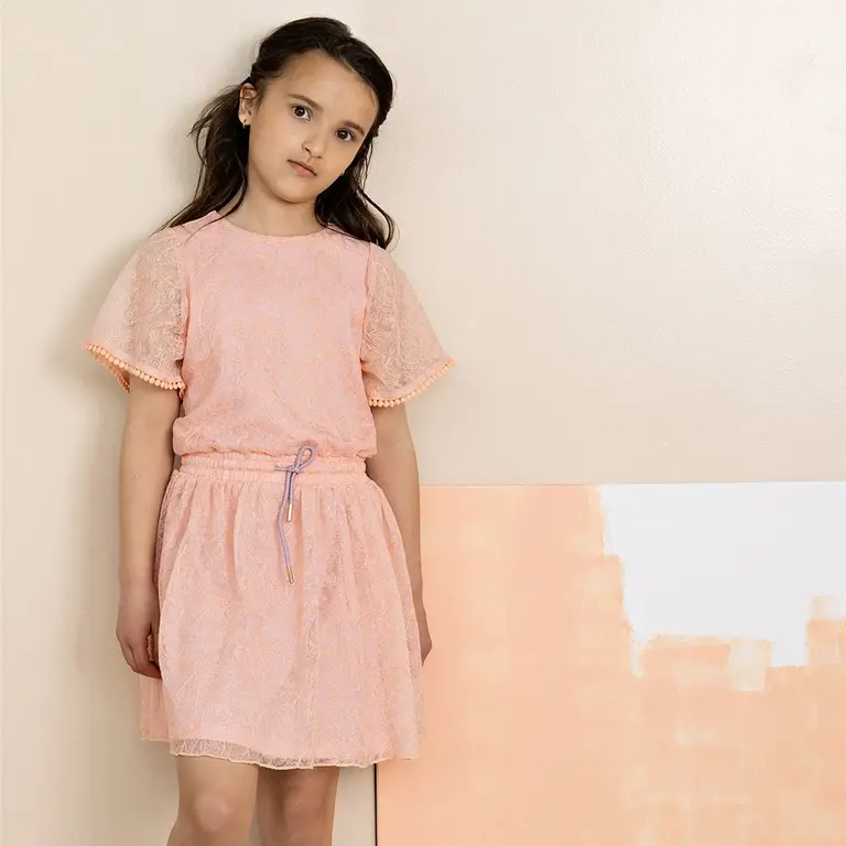 Jurk Mireal mesh (vintage pink)