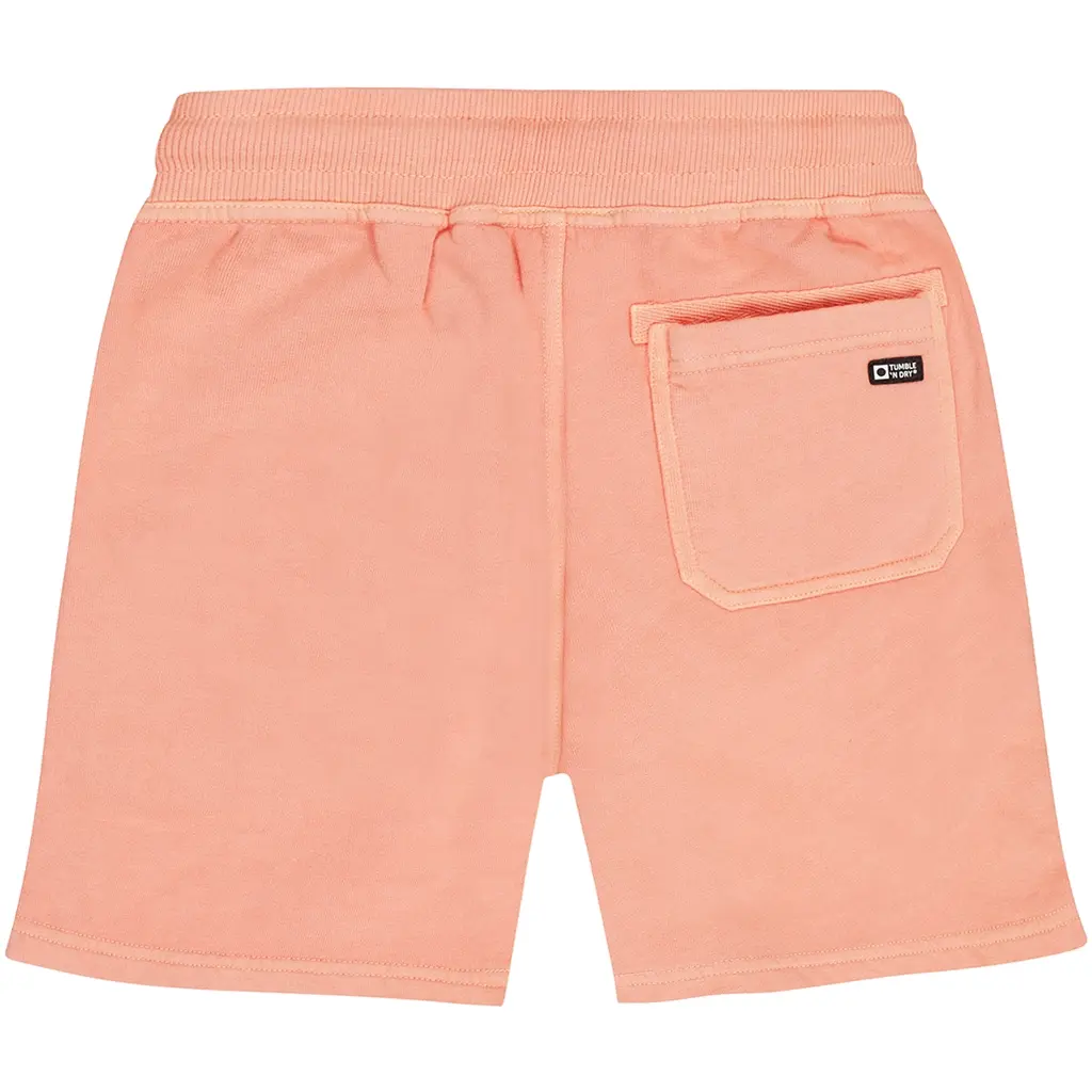 Korte broek Big Wave (fresh salmon)