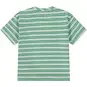 Babyface T-shirtje wide fit (frog)