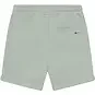 Daily7 Korte broek (green milieu)