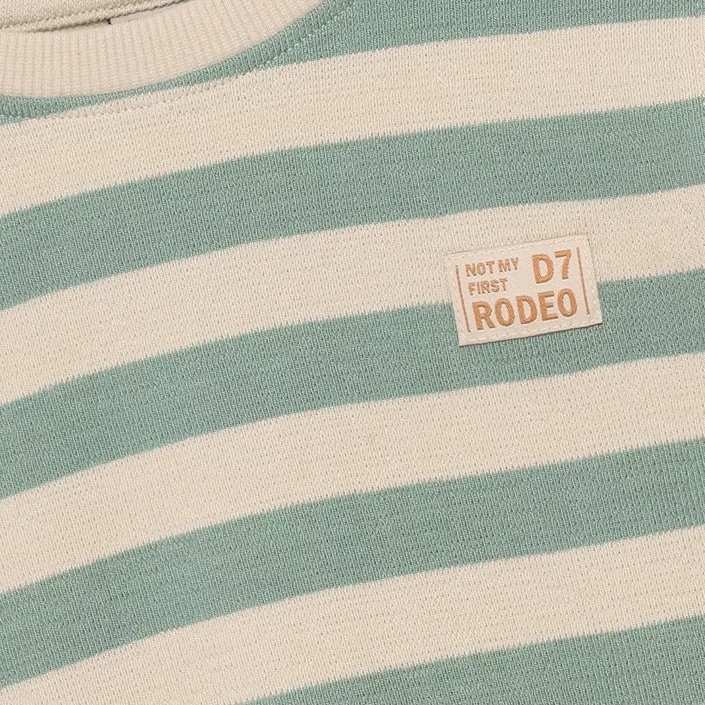 Longsleeve stripe (green milieu)