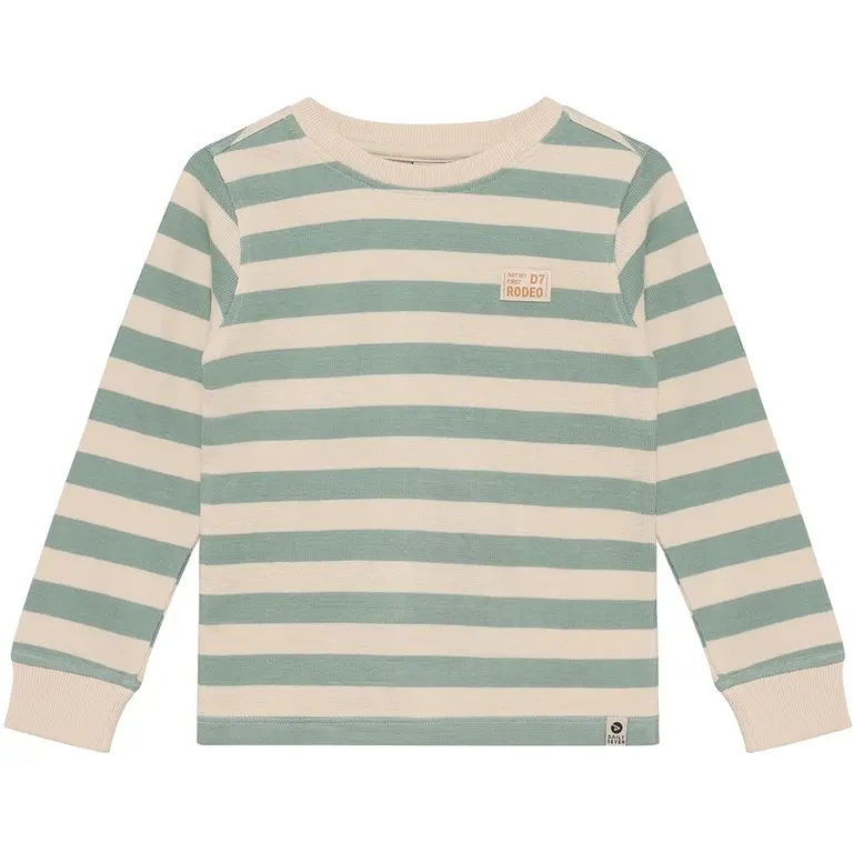 Longsleeve stripe (green milieu)