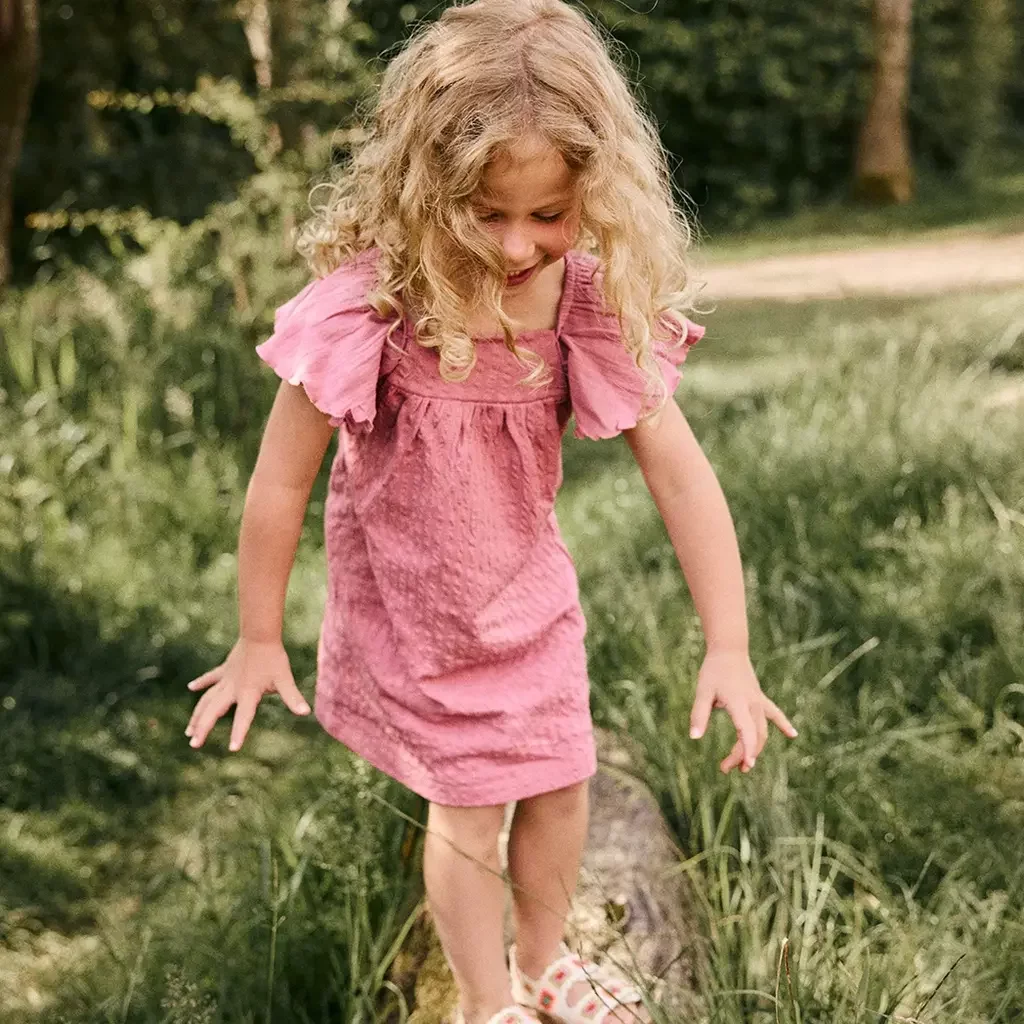 Jurk (heather rose)