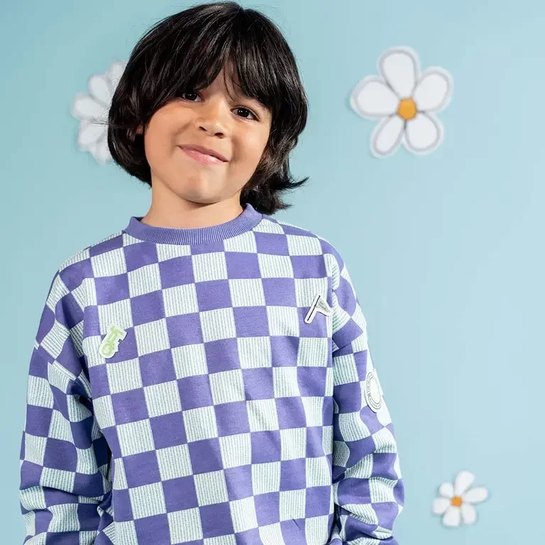 Trui Dean (aop purple check)