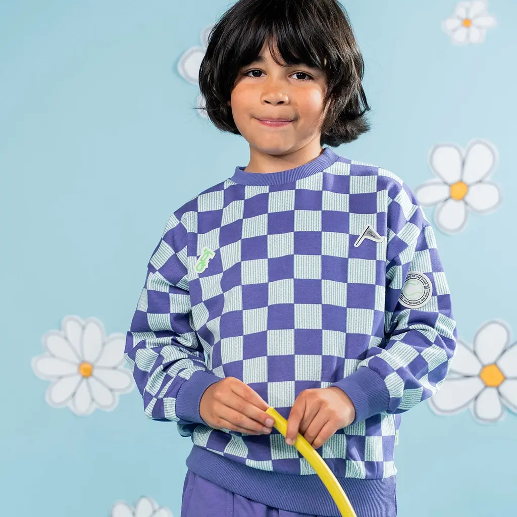 Trui Dean (aop purple check)