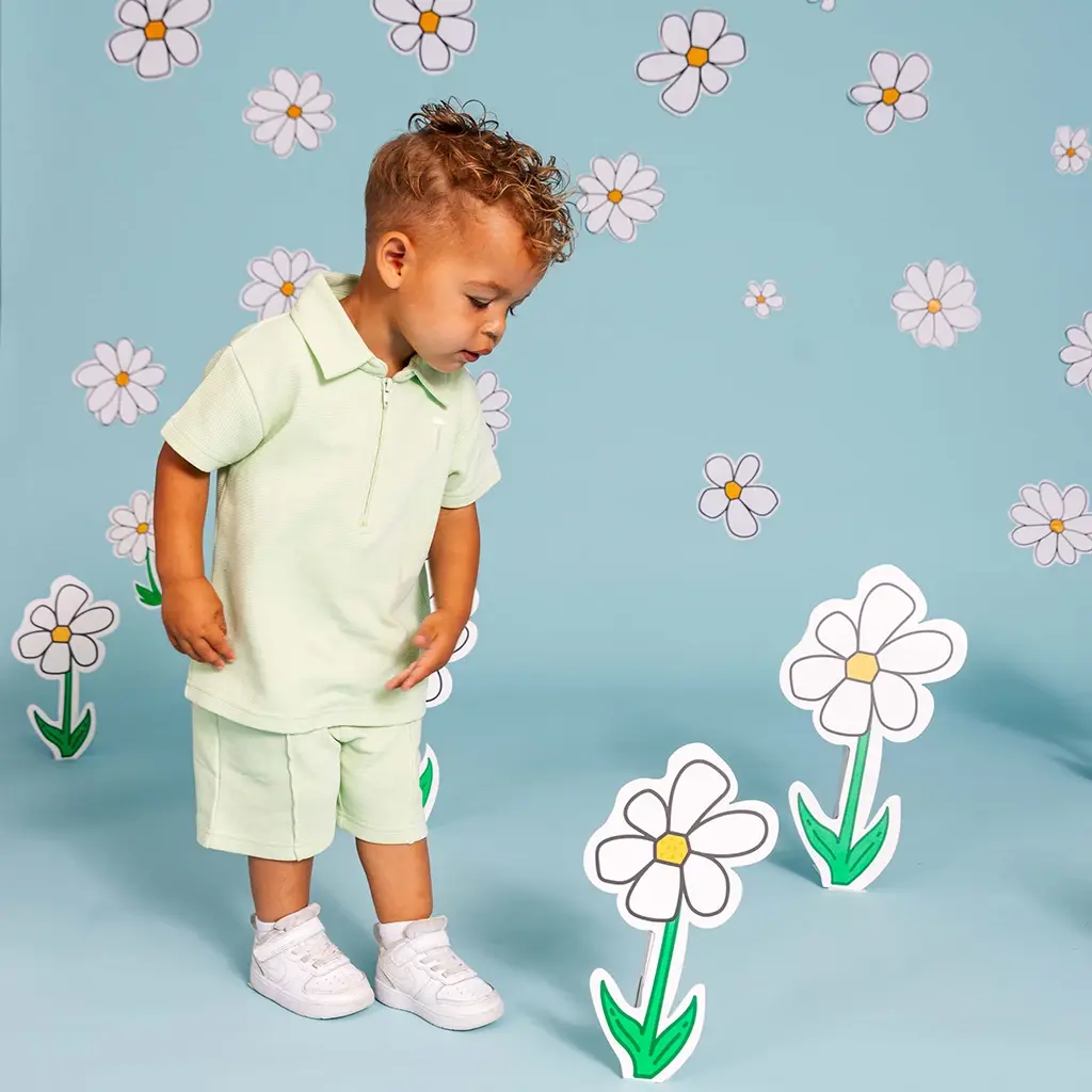 Korte broek Ernst (soft green)