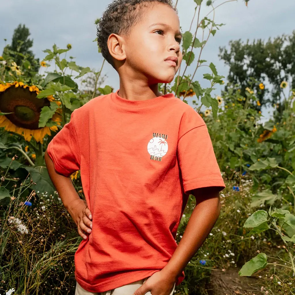 T-shirt Darwin backprint (burned orange)