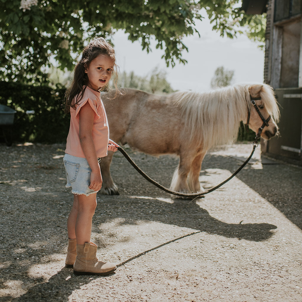 T-shirt loose fit (blushed terra)