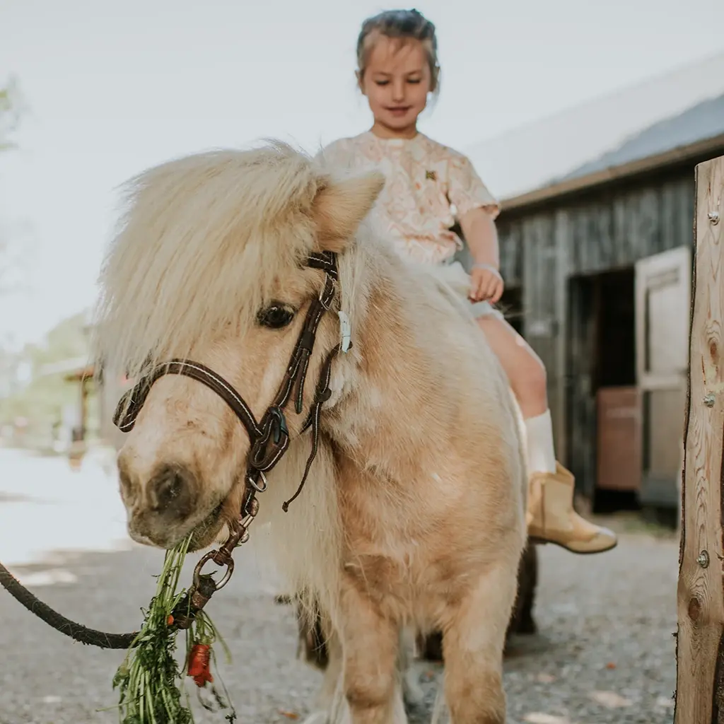 T-shirt loose fit (off white)