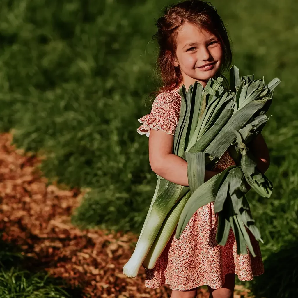 Jurk (blushed terra)