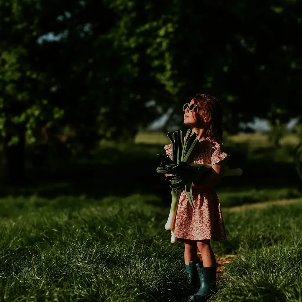 Jurk (blushed terra)