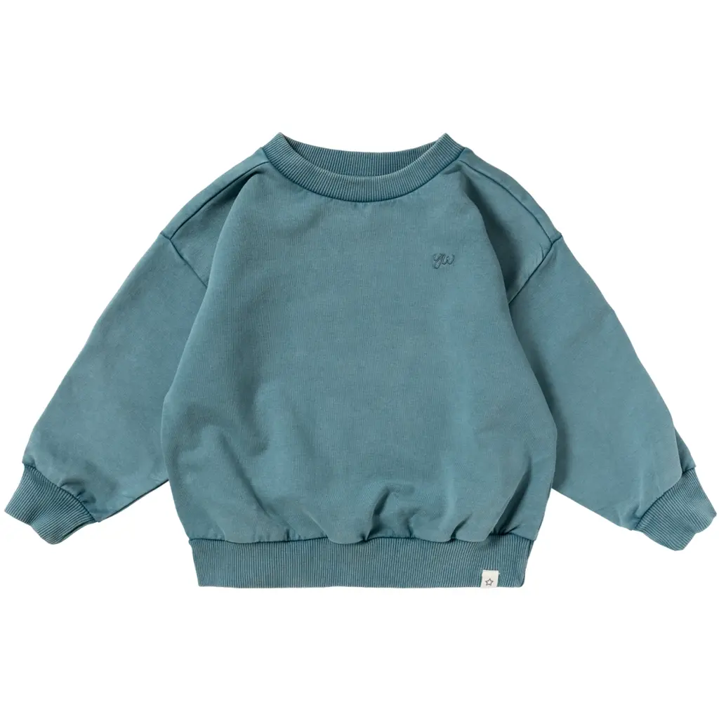 Trui wide fit (dragonfly)