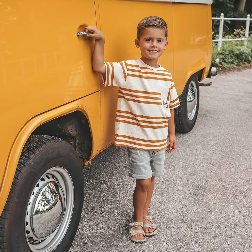 T-shirt oversized (multicolor)