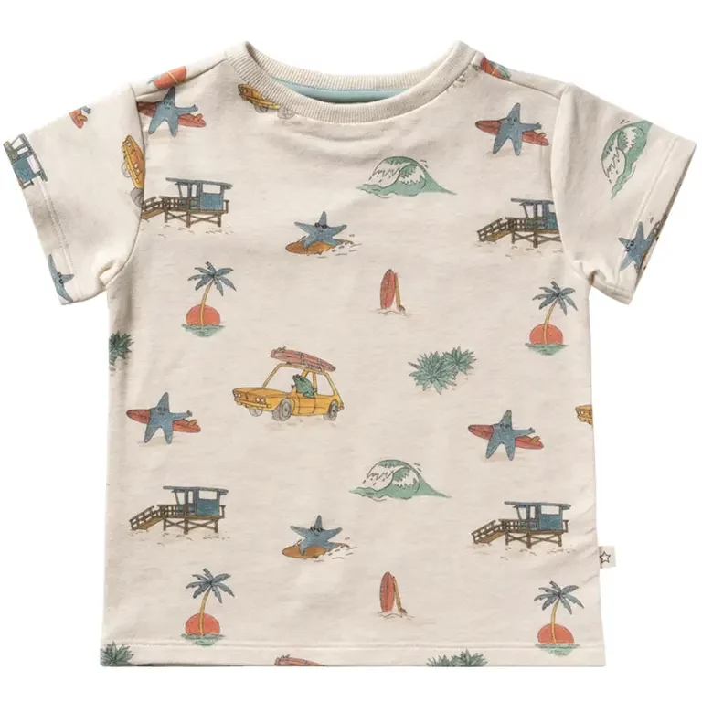 T-shirt relaxed (multicolor)