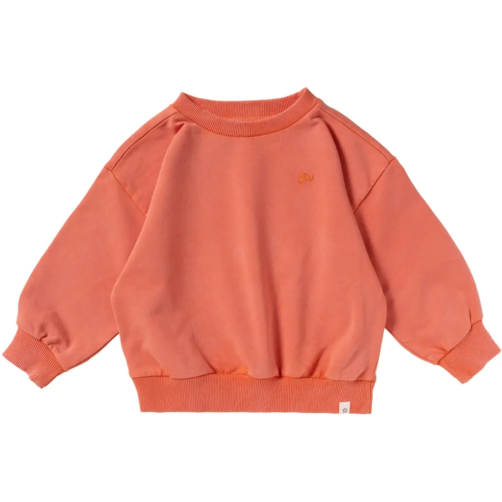 Trui germent dye (burnt sienna)