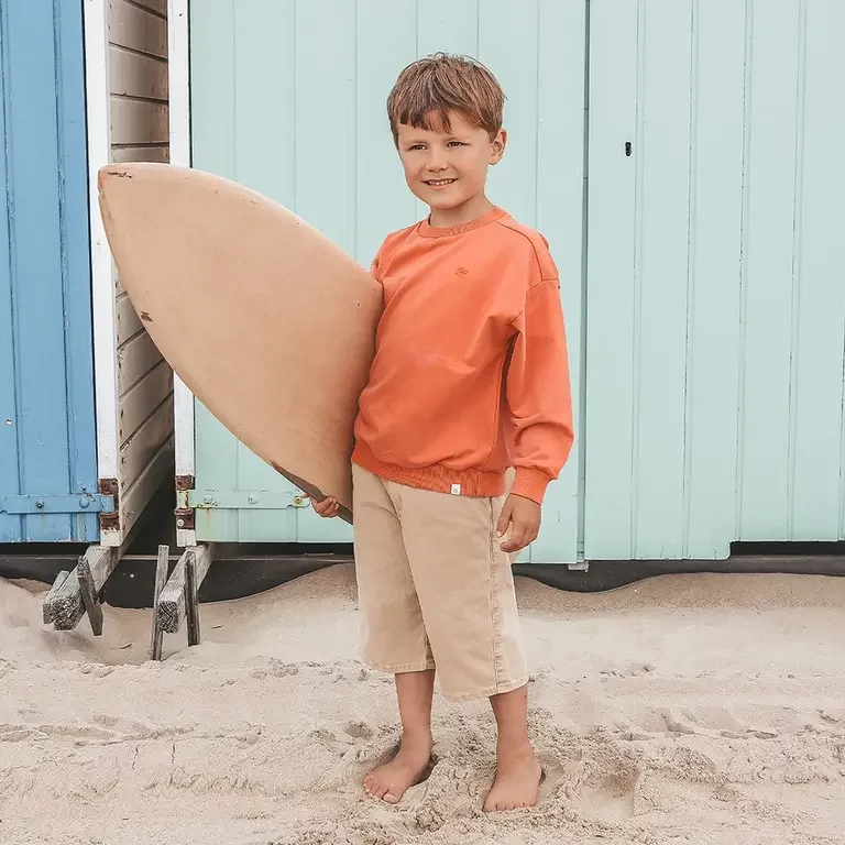 Trui germent dye (burnt sienna)