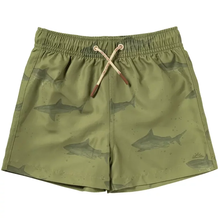 Zwembroek Shark (iguana)