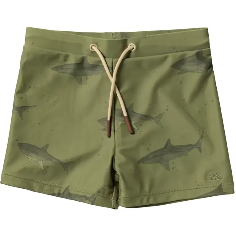 Zwembroekje Shark (iguana)