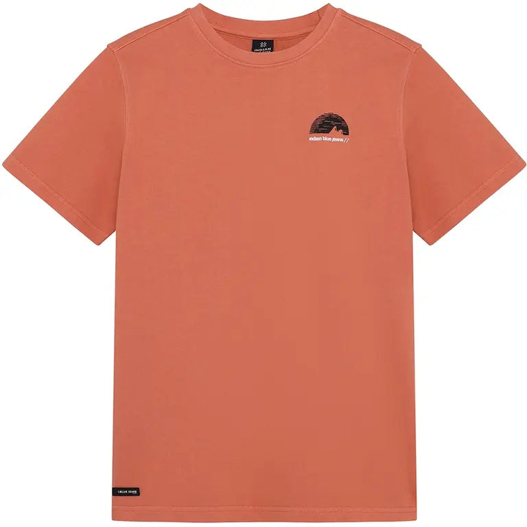 T-shirt backprint washed (lantana)