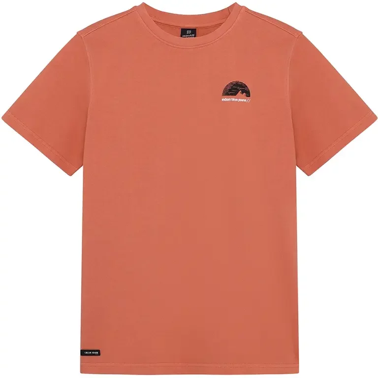 T-shirt washed (lantana)