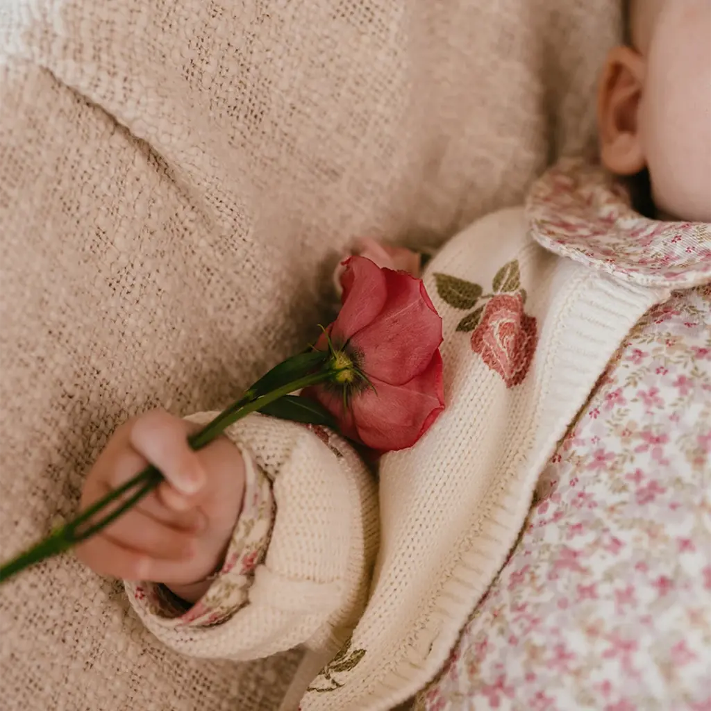 Boxpakje (multicolour)