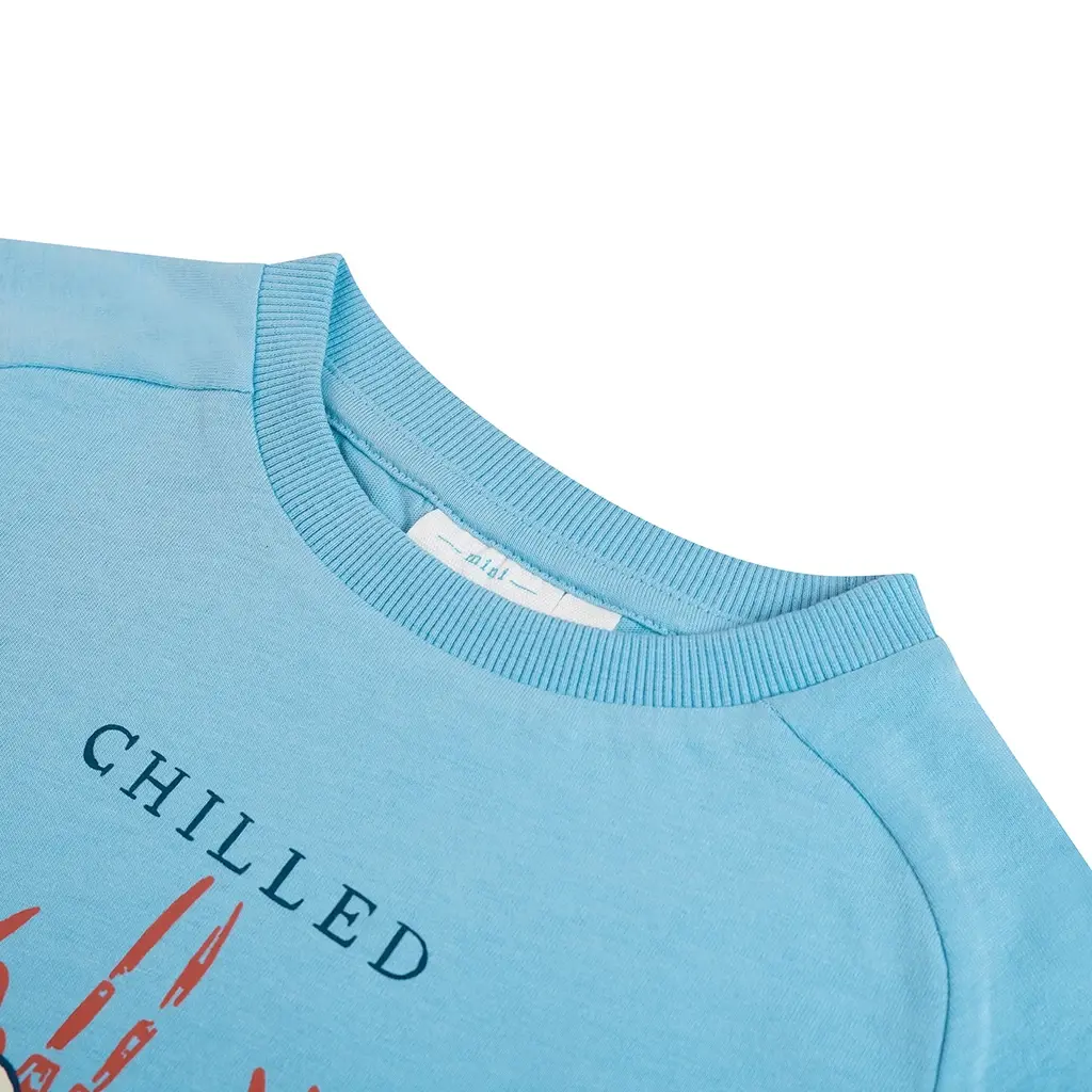 T-shirt (light blue)