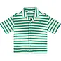 Mini Rebels Overhemd (green)