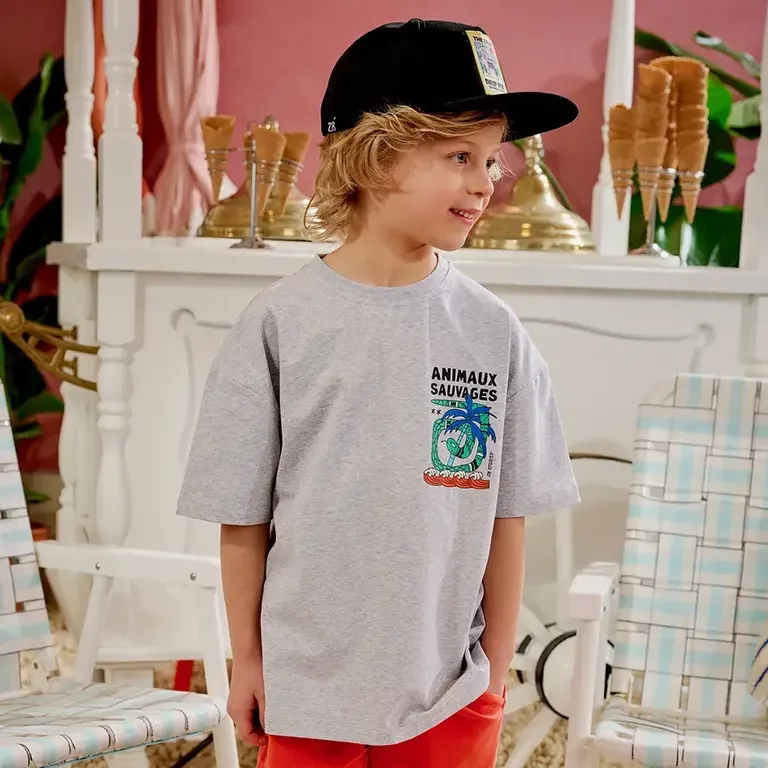 T-shirt heayvy jersey Rix (grey melange)