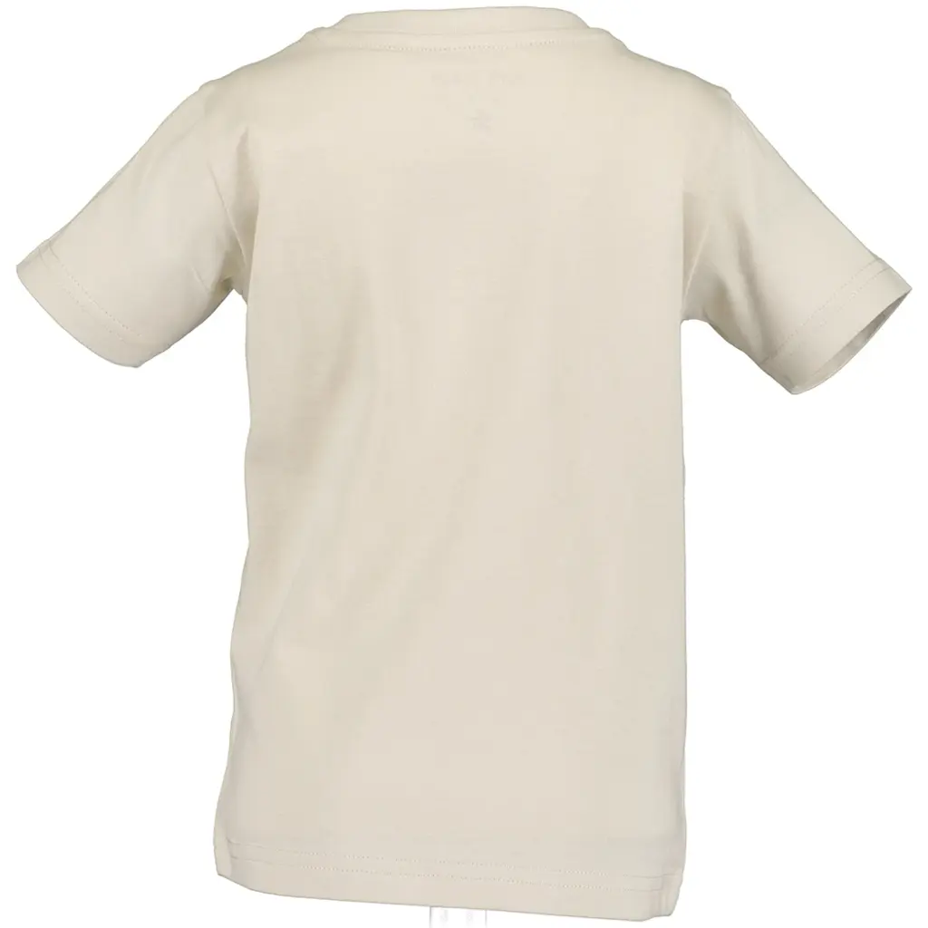 T-shirt (light grey)