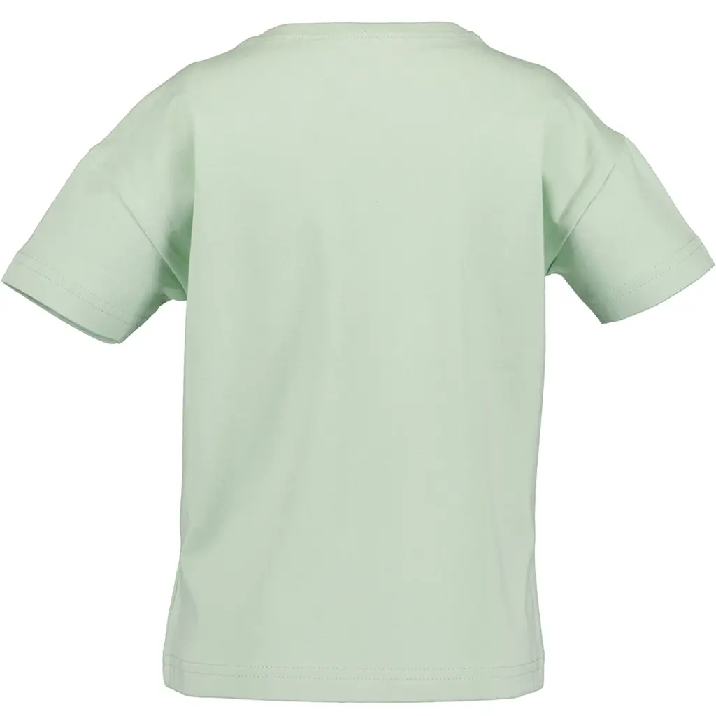 T-shirt (glacier)