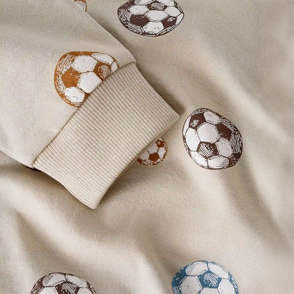 Truitje sweat Davis (pure cashmere)