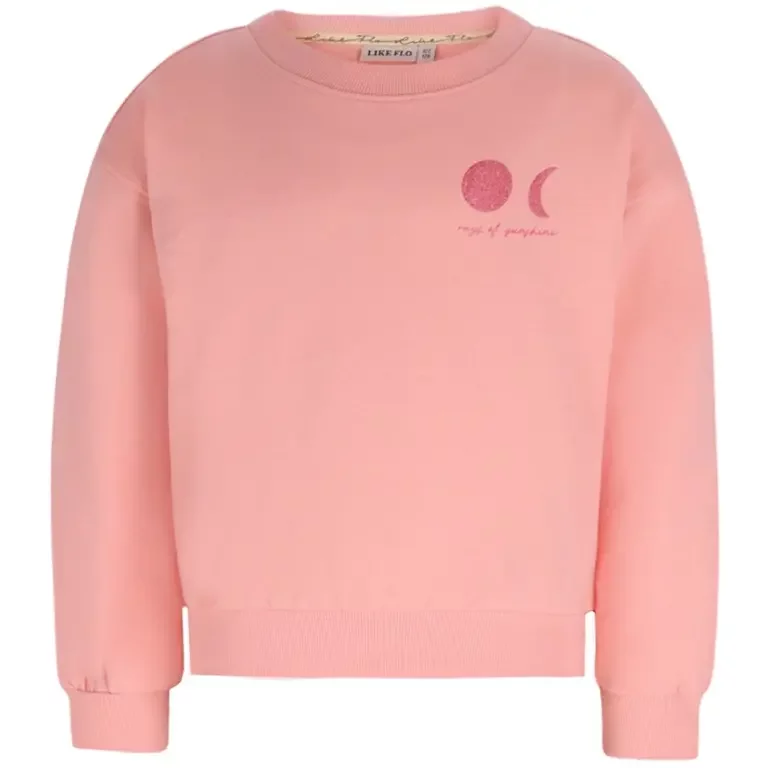 Trui Donnie backprint (salmon)