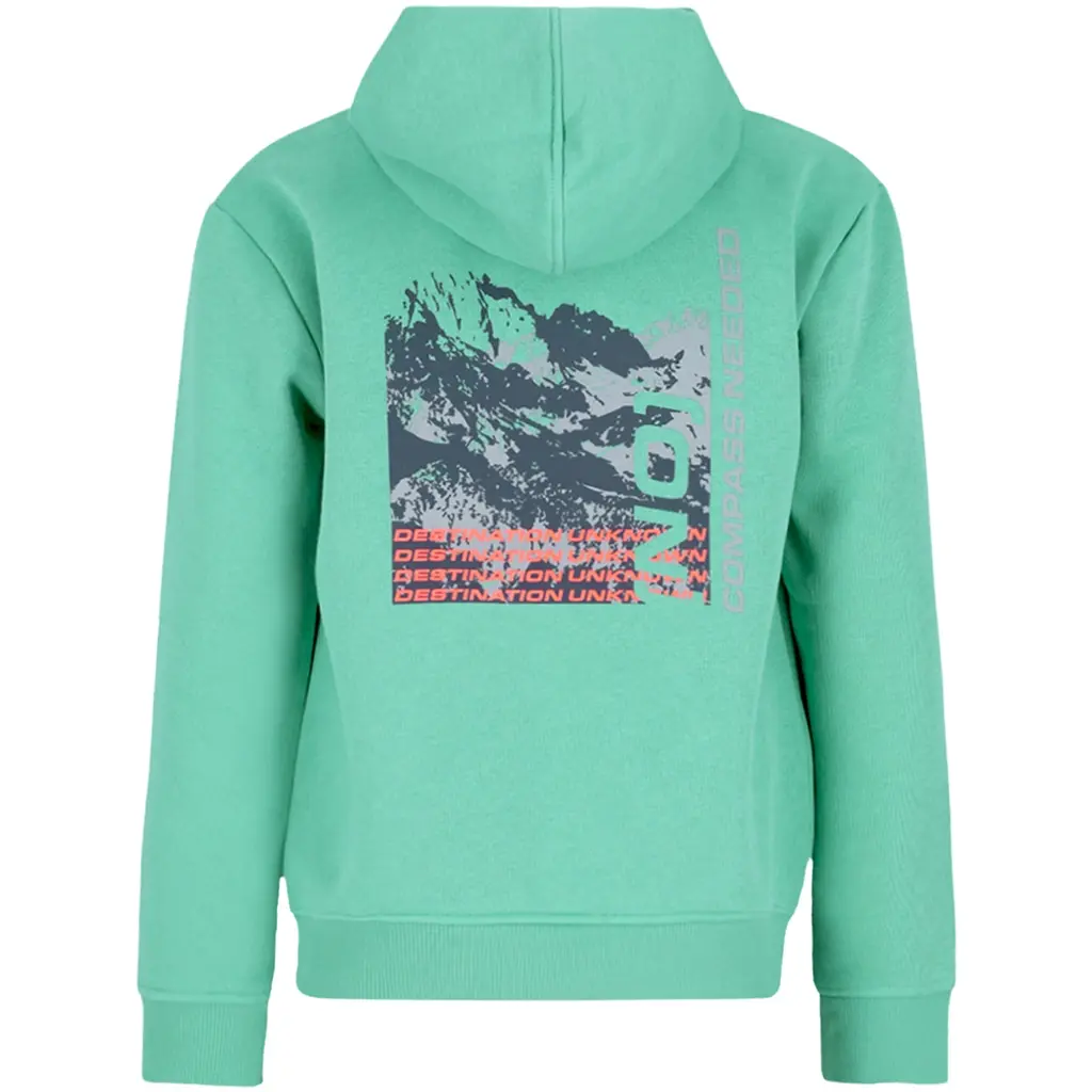 Trui hoodie Nigel (wasabi)