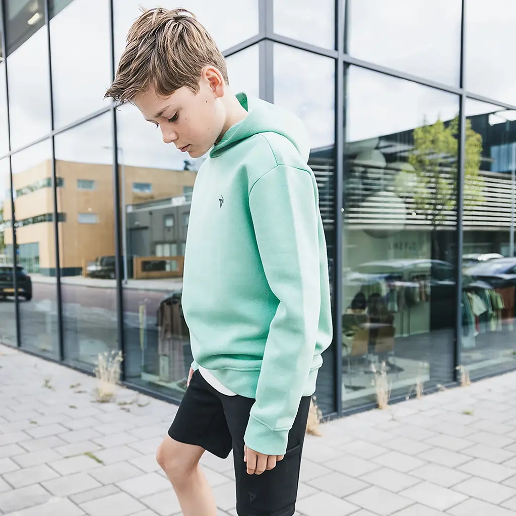 Trui hoodie Nigel (wasabi)