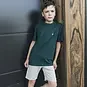 TYGO & Vito T-shirt Dolan (storm green)