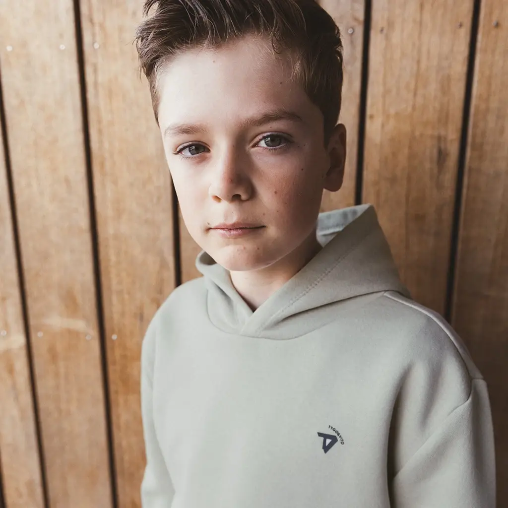 Trui hoodie Nigel (pebble stone)