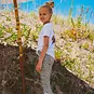 TYGO & Vito Broek/legging Pebbles flared (pebble stone)
