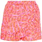 B.Nosy Skort Raven (summer zebra)