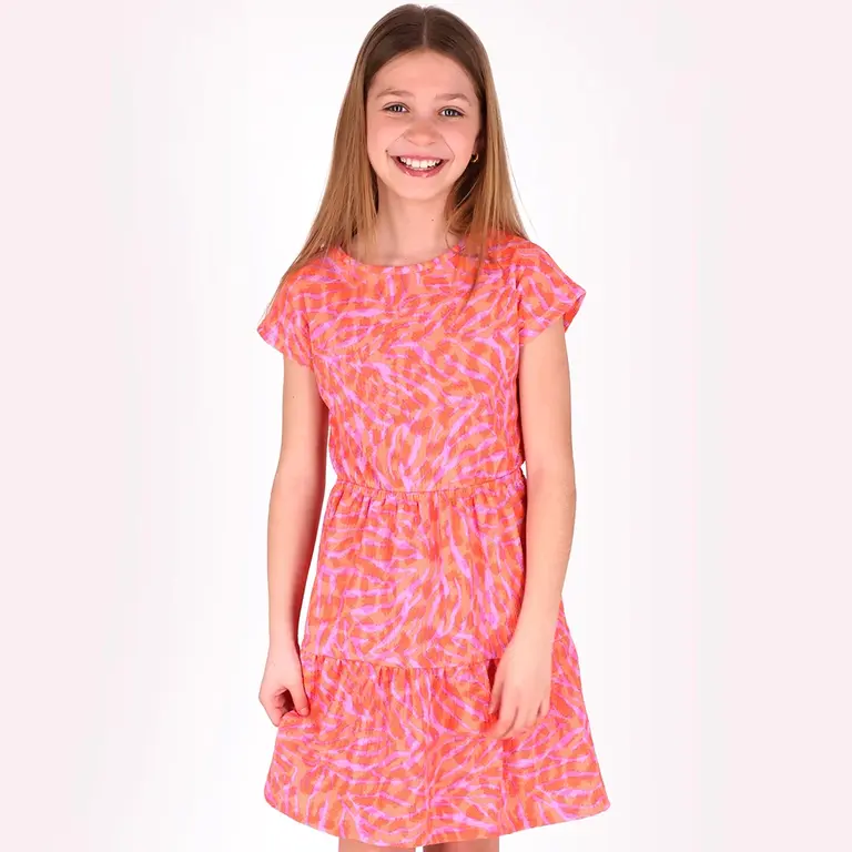 Jurk Darla (summer zebra)