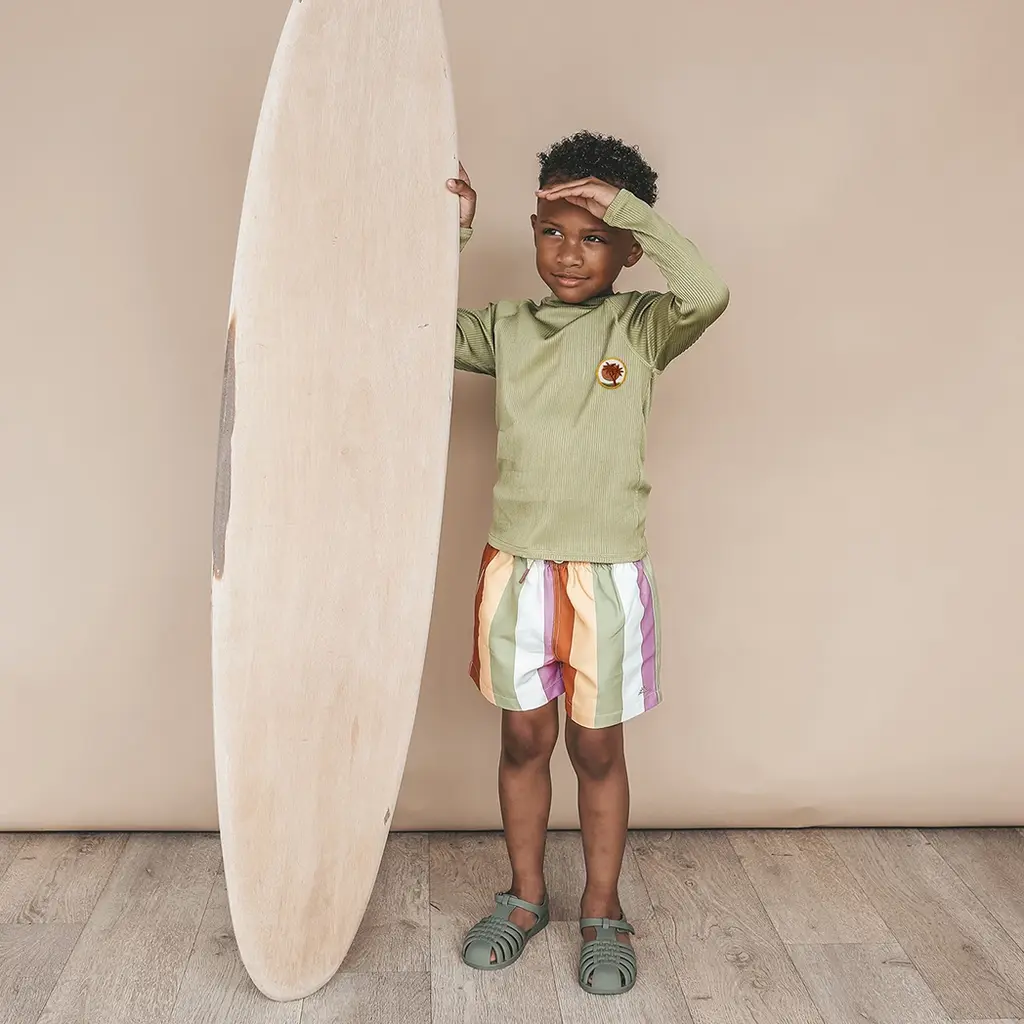 Zwembroek Multi Stripe (multicolor)