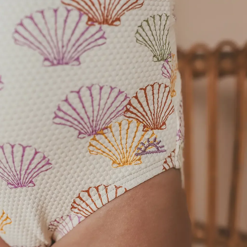 Badpak Shells (multicolor)