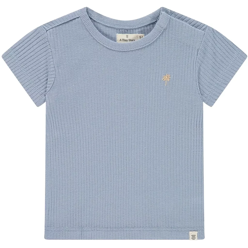 T-shirtje (light blue)