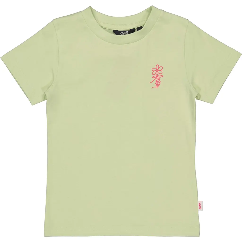 T-shirt Destiny backprint (soft green)