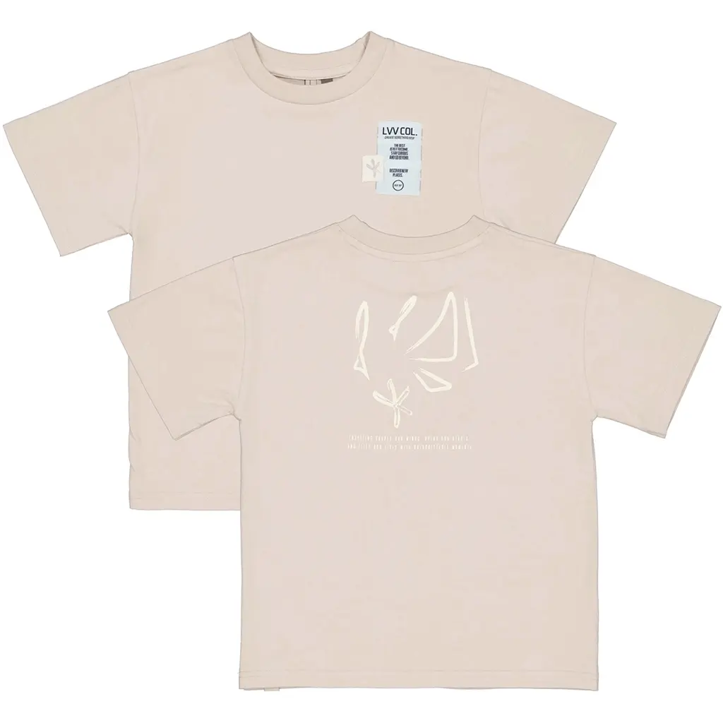 T-shirt Blaze backprint (light grey)