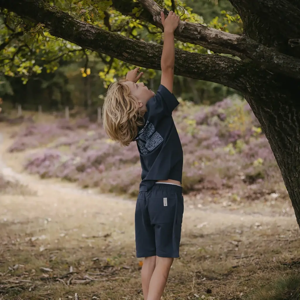 Korte broek Brick (dark blue)